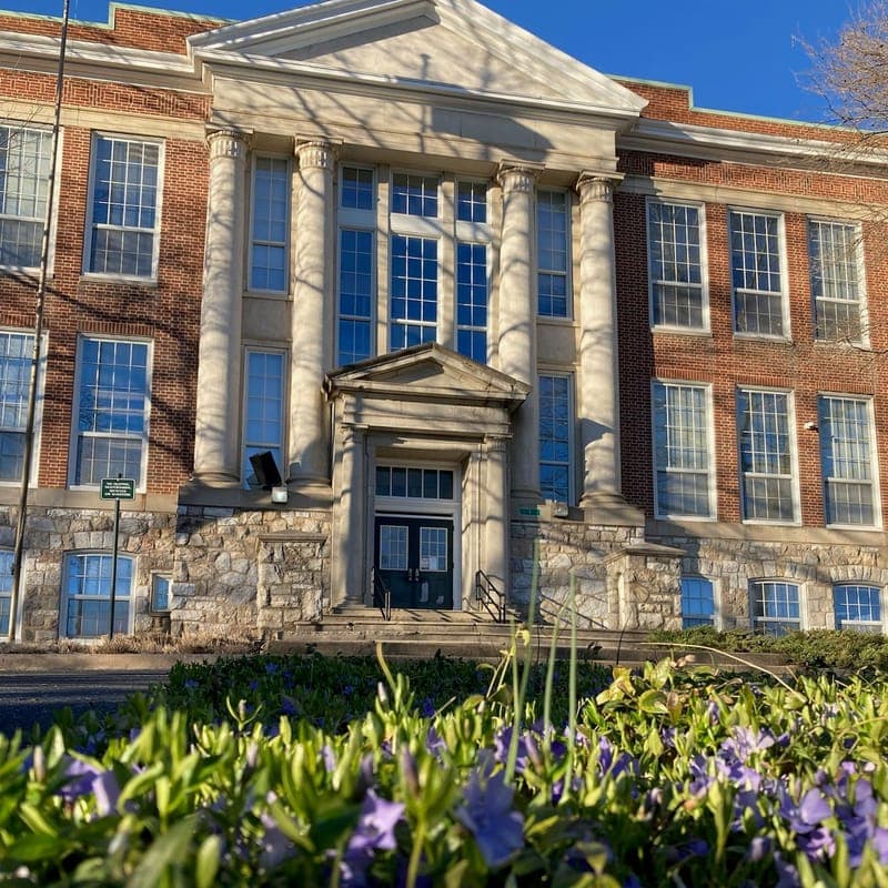 The columned entrance of the Staunton Public Library, with periwinkle blooming in the foreground